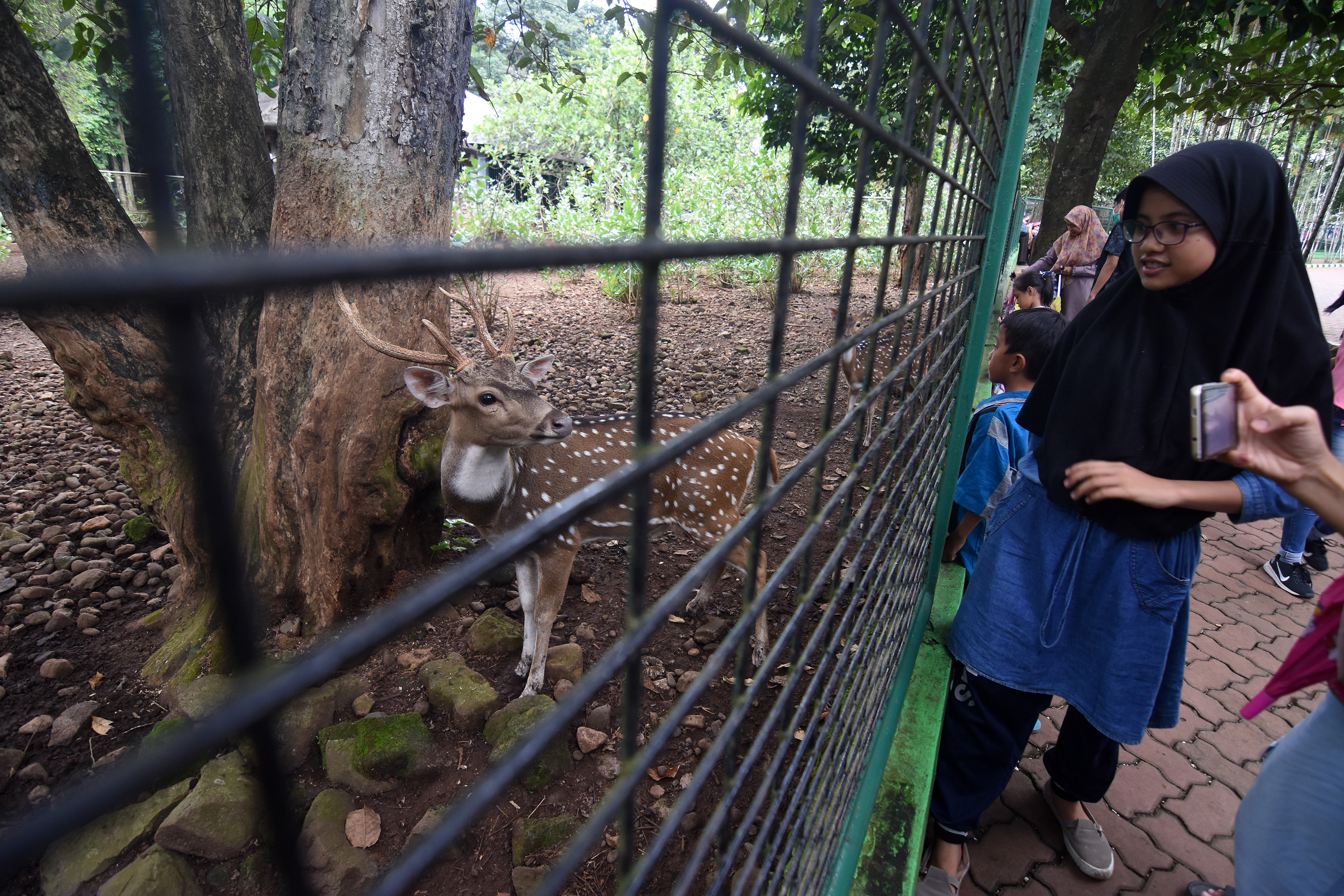 Warga berwisata ke Taman Margasatwa Ragunan