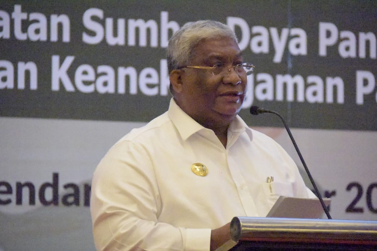 Gubernur Sultra Ali Mazi