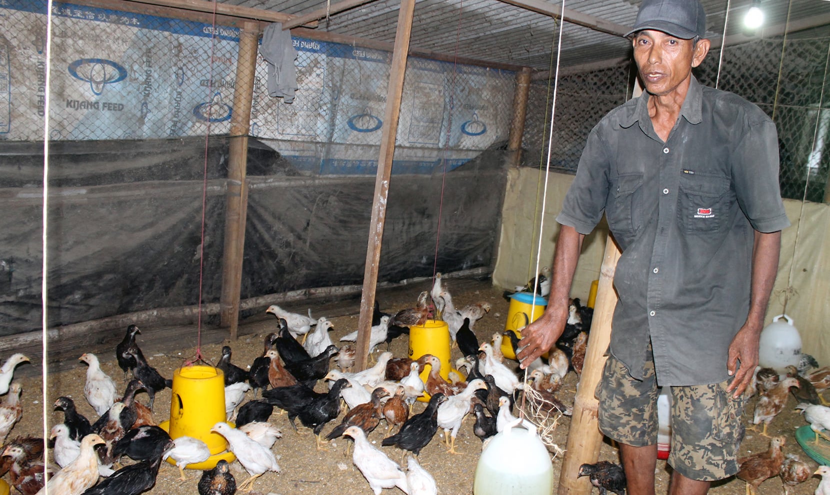 Peternakan ayak Joper