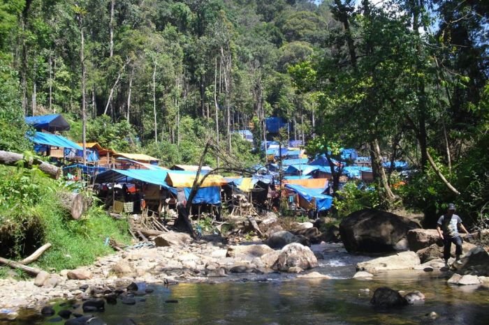 Kegiatan tambah emas ilegal yang marak menggunakan merkuri di Kabupaten Pidie, Aceh.