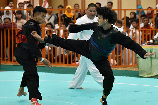 Pencak Silat