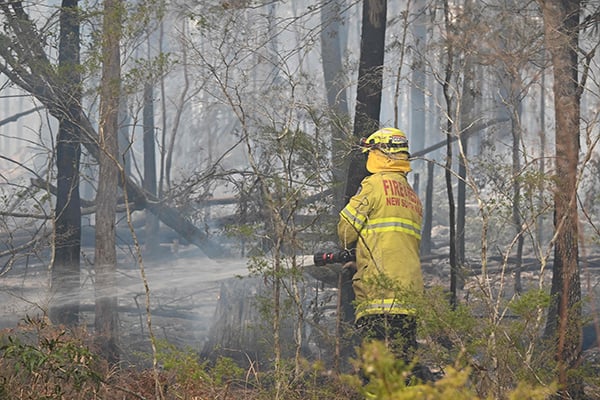 Kebakaran Hutan Melanda Australia