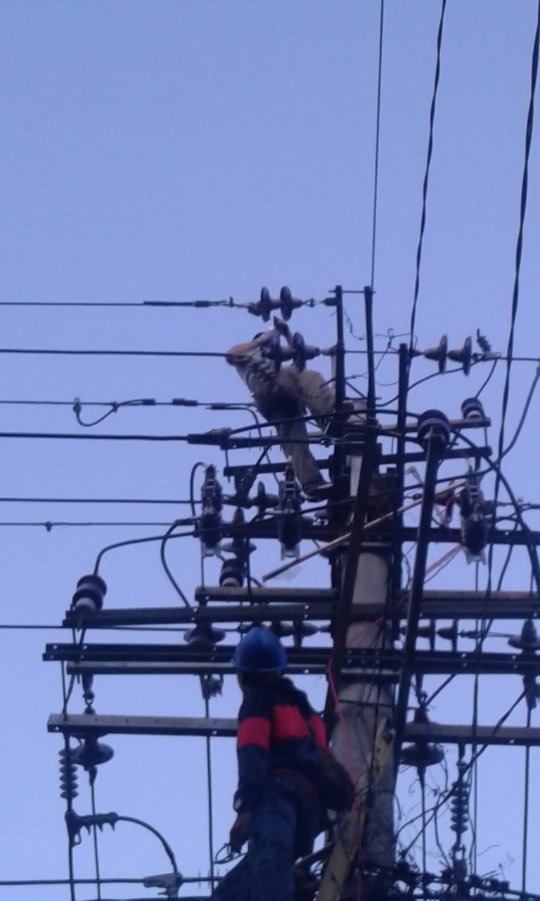 PLN memastikan kondisi kelistrikan di Provinsi Maluku Utara pascagempa, aman.