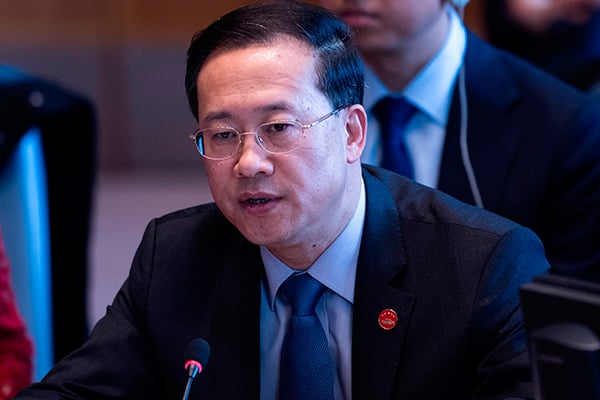 Wakil Menteri Luar Negeri Tiongkok, Ma Zhaoxu