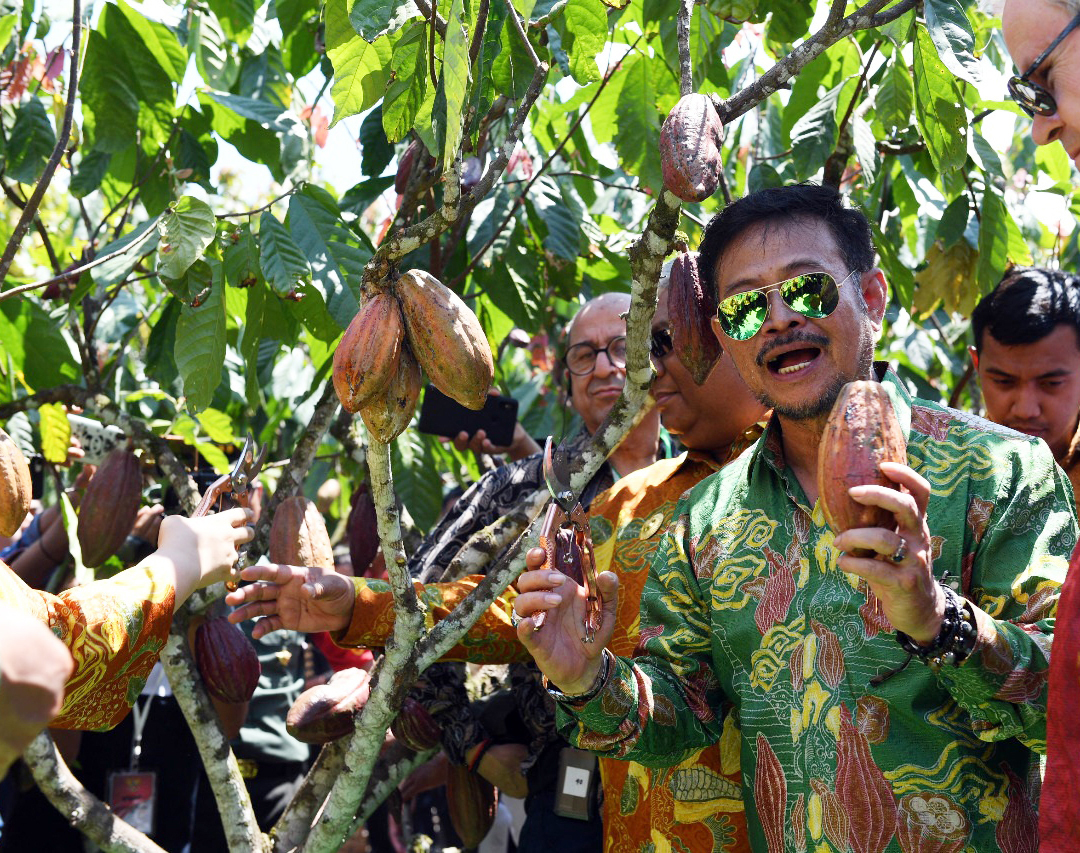  Menteri Pertanian Syahrul Yasin Limpo bersama tamu undangan memetik buah kakao di sebuah kebun di Angantan, Konawe Selatan, Sultra.