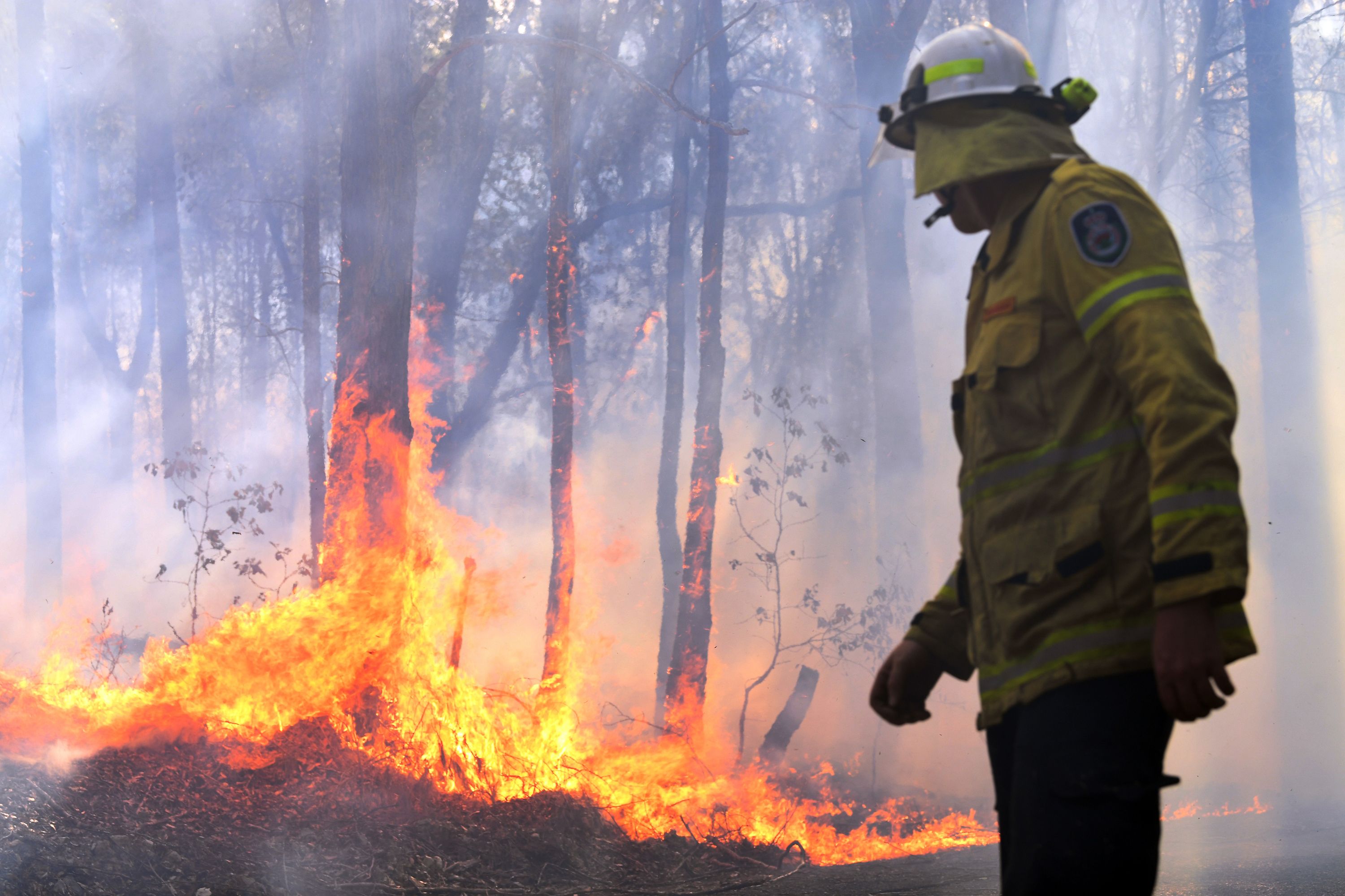 Lebih dari 100 titik api kebakaran hutan melanda wilayah Australia.