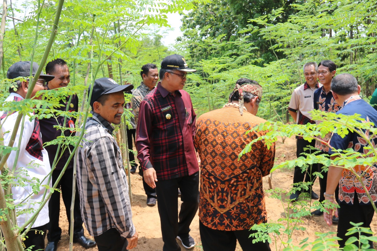 Bupati Blora Djoko Nugroho mendamping Wali Kota Samarinda, Syaharie Jaang (pakai ikat kepala) meninjau budidaya kelor di Blora.