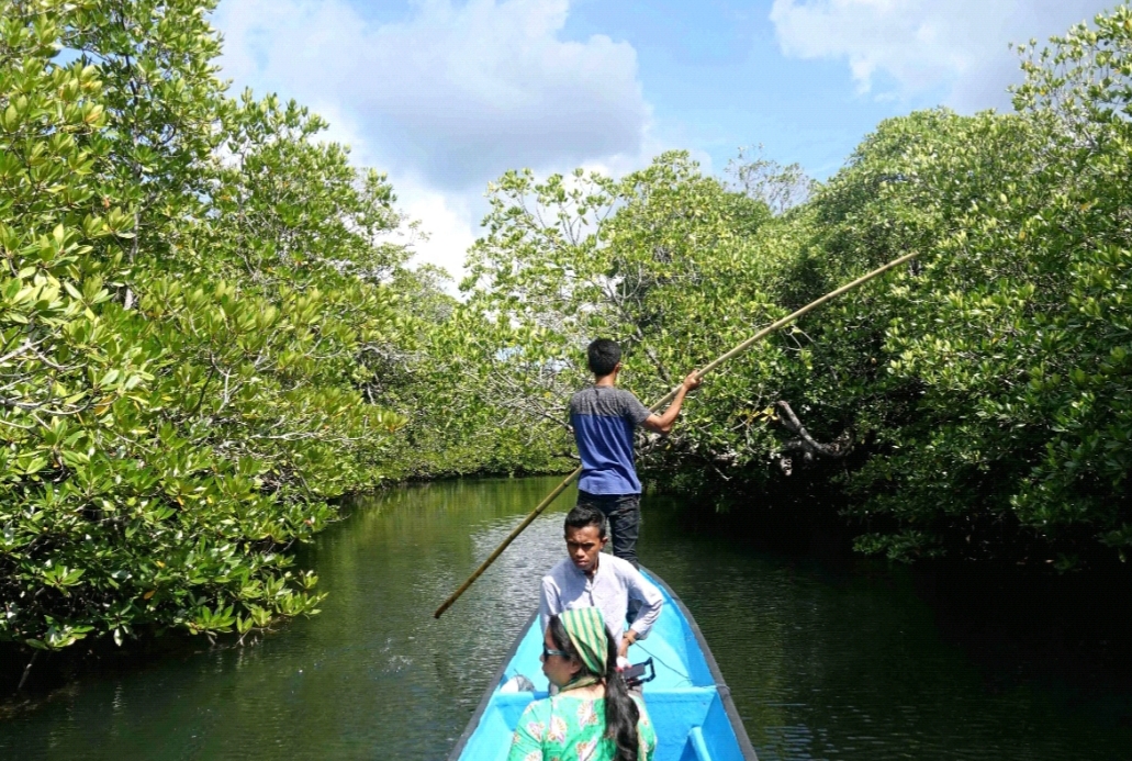 Wisata di kabupaten di Sulawesi Tenggara itu makin lengkap dengan hadirnya wisata rekreasi edukasi, yakni ekowisata mangrove.