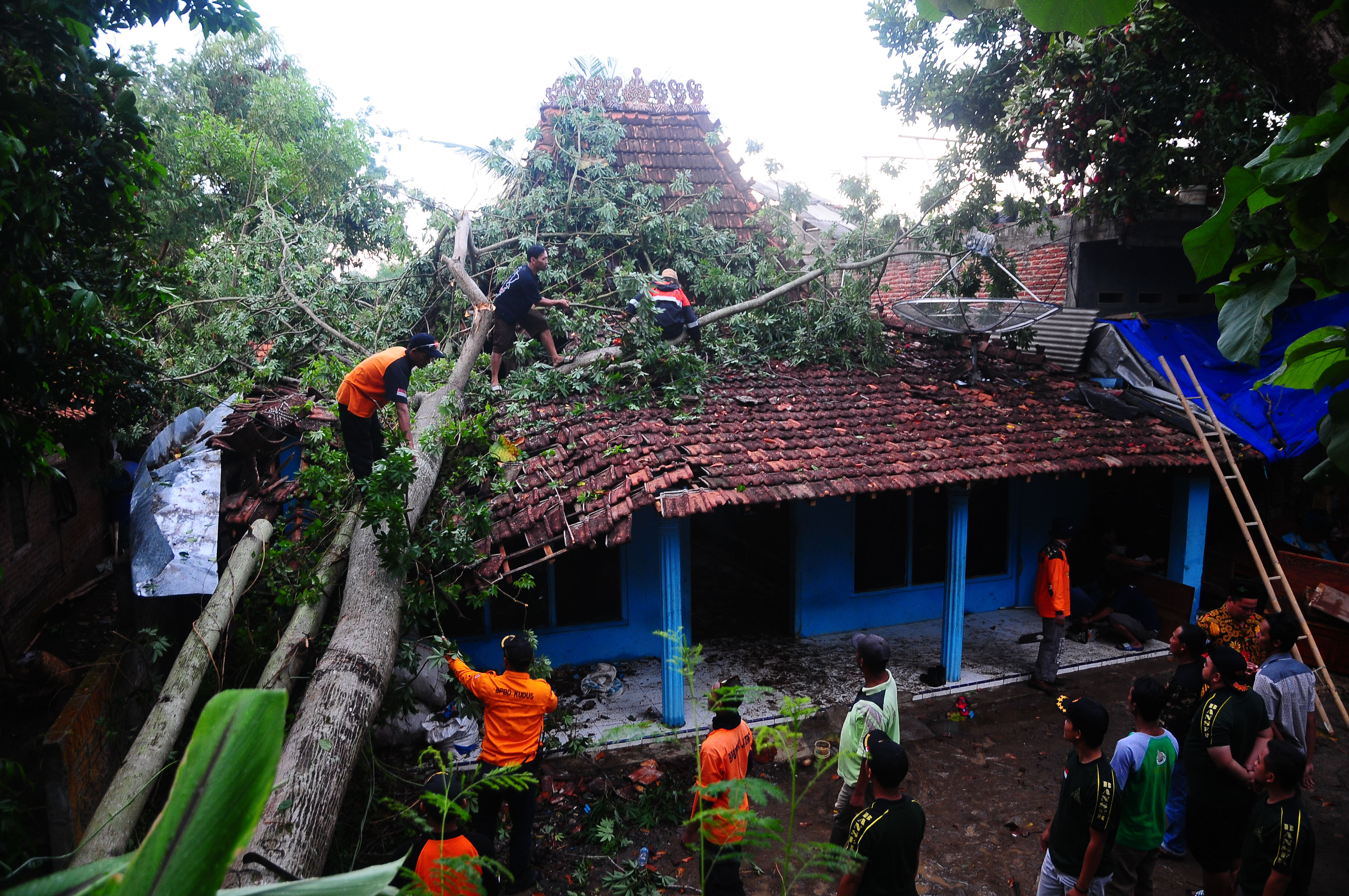 Sebuah rumah di Kudus, Jawa Tengah rusak setelah tertimpa pohon, akibat angin kencang. 