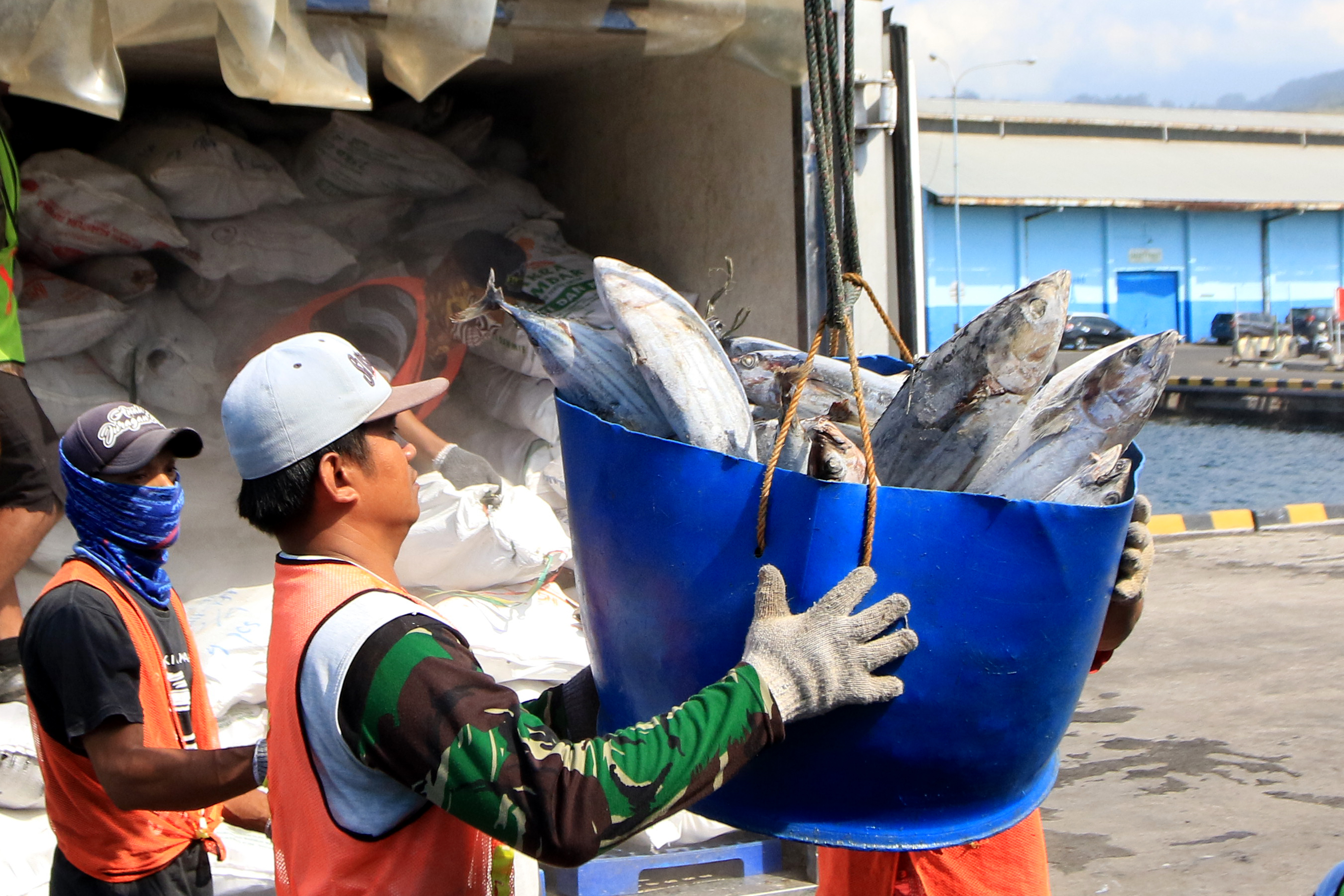 Pekerja mengangkat Ikan tuna hasil tangkapan nelayan ke dalam truk di Pelabuhan Tanjungwangi, Banyuwangi, Jawa Timur
