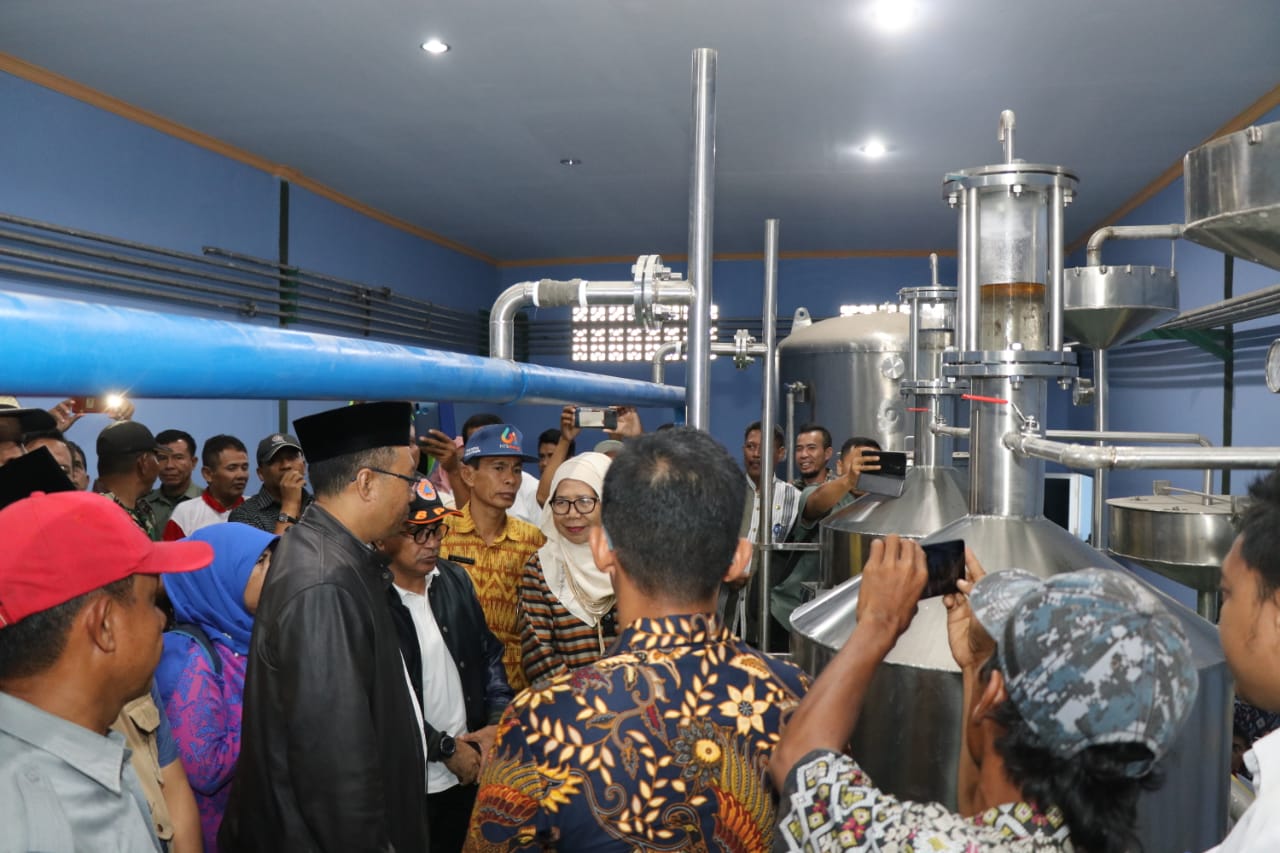 NTB Punya Pabrik Kayu Putih Terbesar di Dunia 