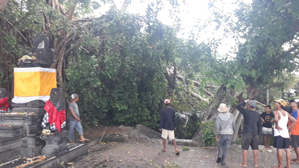Pohon beringin tumbang dan menimpa bangunan 