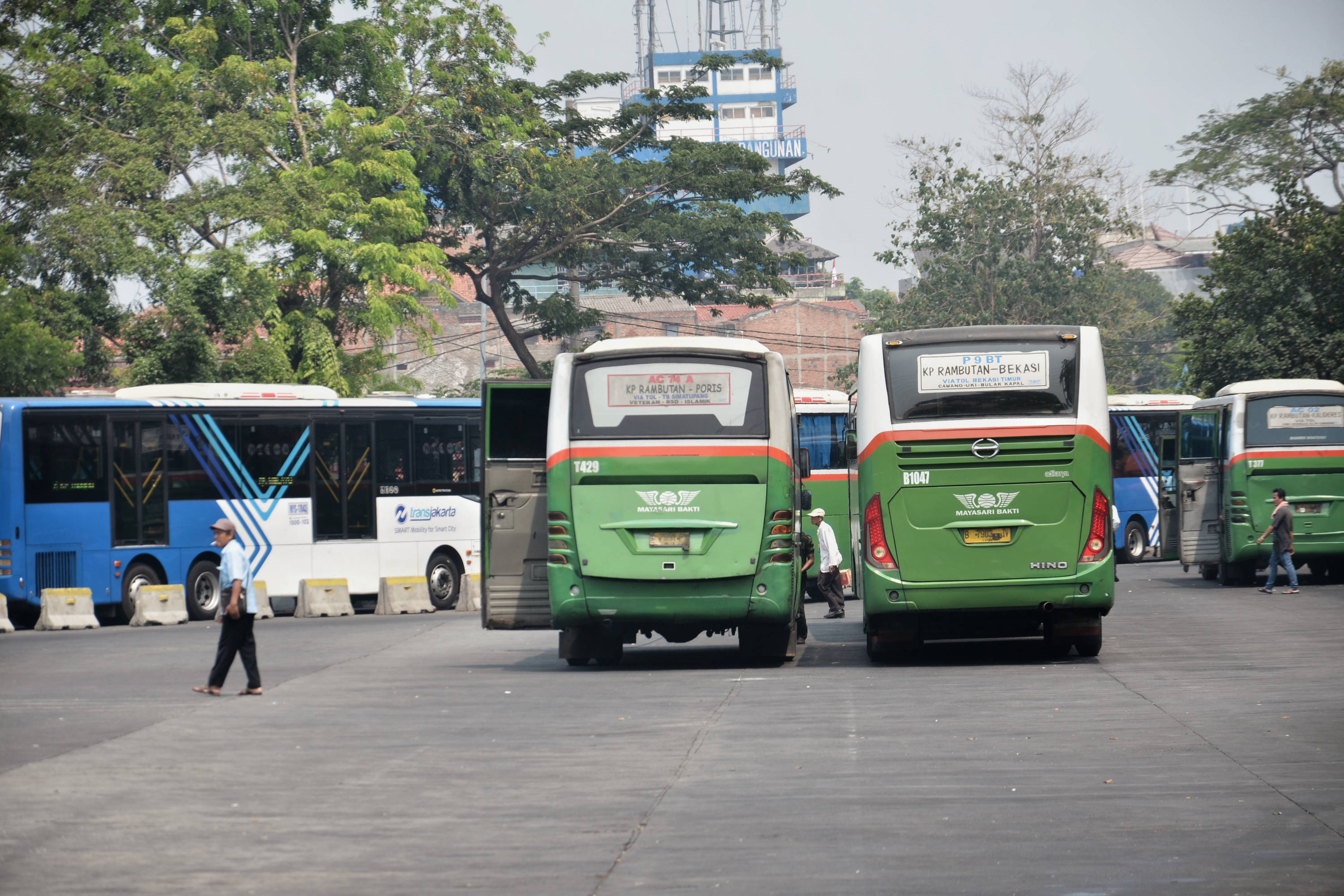 Bus Mayasari menunggu penumpang di Terminal Kampung Rambutan, Jakarta