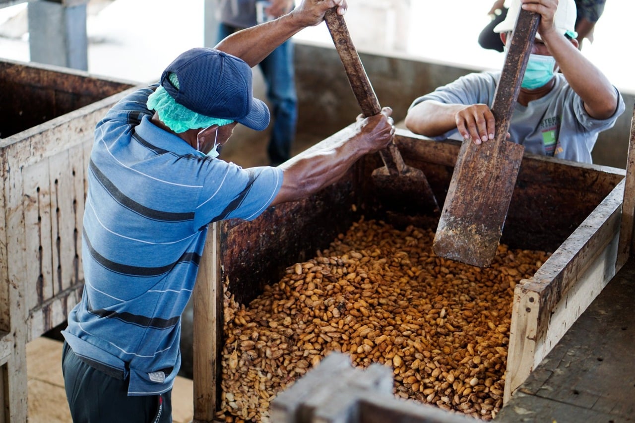 Petani kakao di Desa Nusasari dan operasional Koperasi Kerta Semaya Samaniya. 