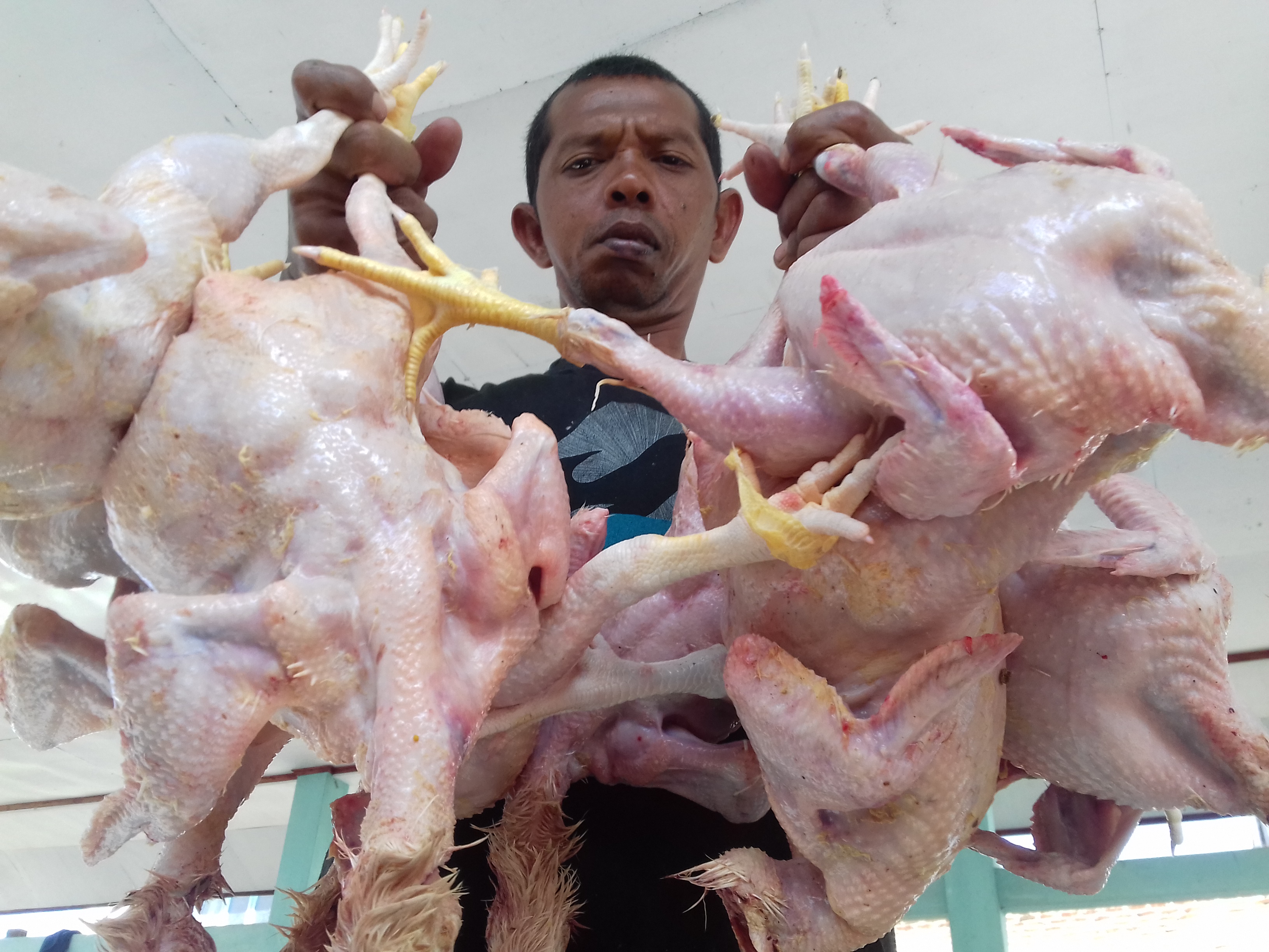 Harga daging ayam di Aceh sudah dua kali dalam sebulan ini naik. 