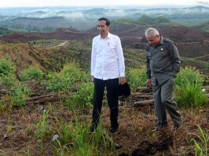 Badan Otorita IKN Dibentuk Januari 2020