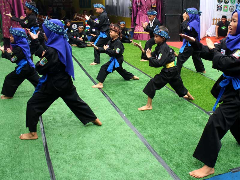 Badan PBB, Unesco menetapkan pencak silat sebagai warisan budaya tak benda dalam sidang ke-14 Komite Warisan Budaya Tak Benda UNESCO.