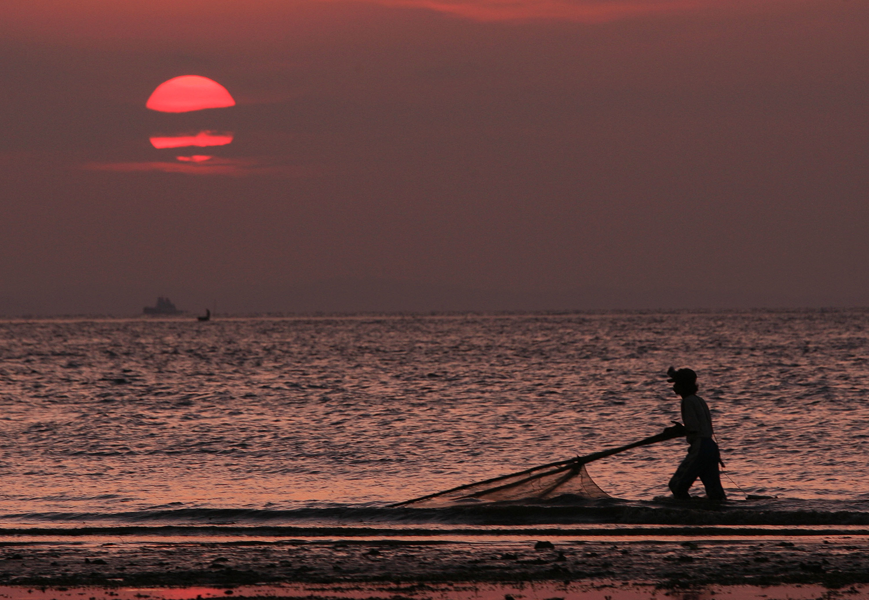Seorang Nelayan tradisional menjaring ikan dan udang di Tanjungpinang, Kepri.