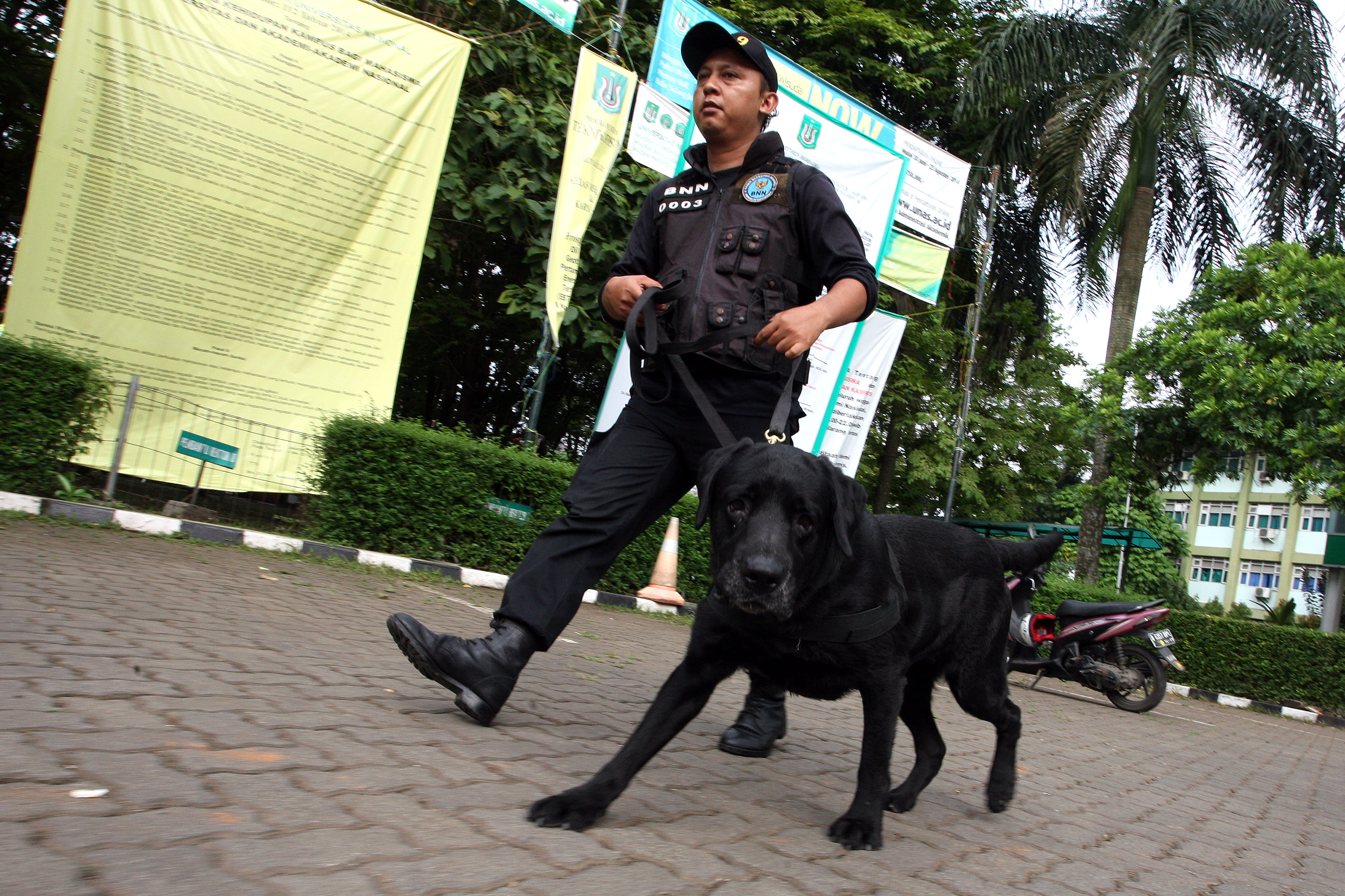 Petugas Unit K-9 Badan Narkotika Nasional (BNN) menyisir lingkungan kampus di Jakarta Selatan.