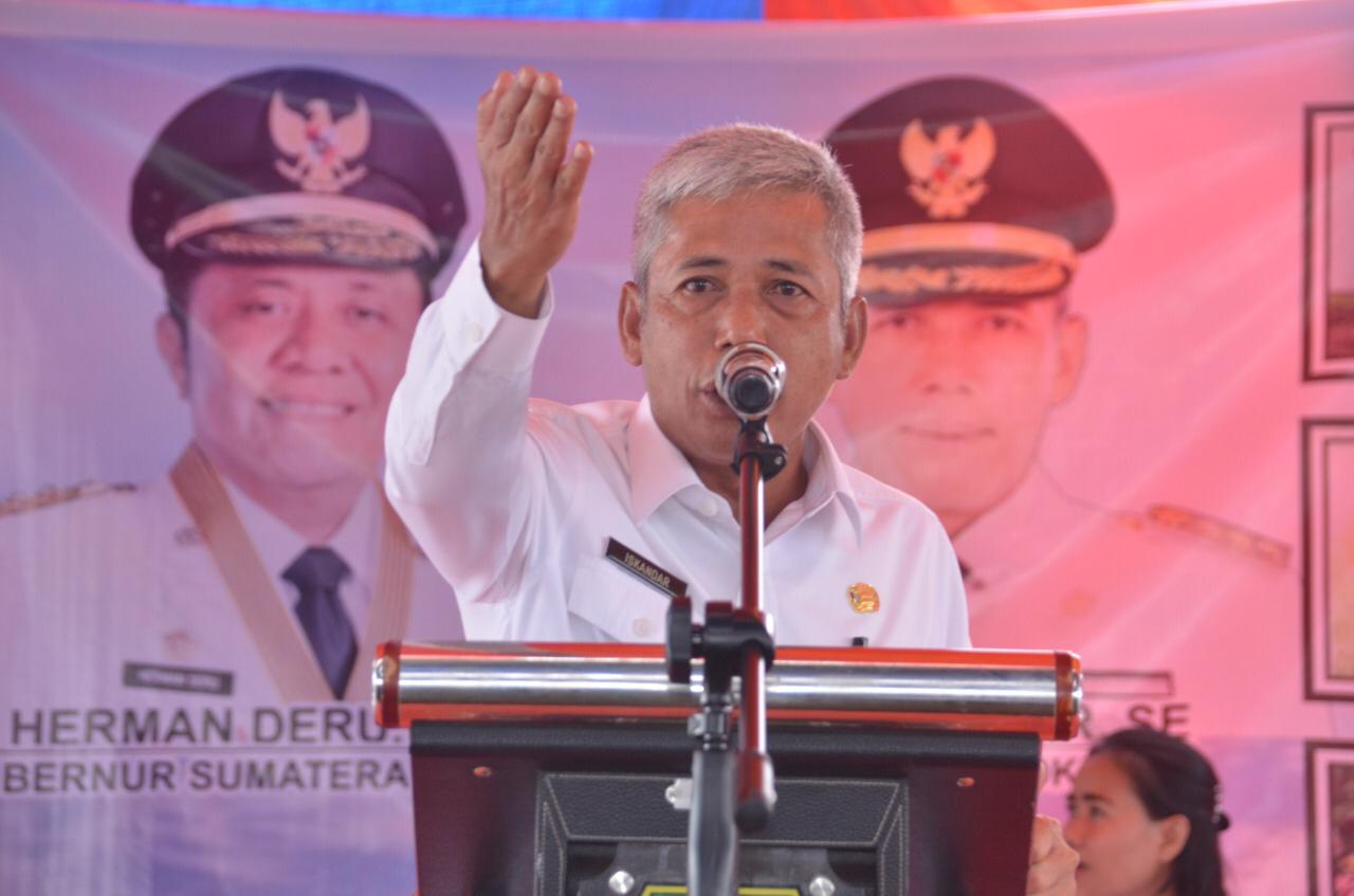 Bupati Ogan Komering Ilir, Iskandar 