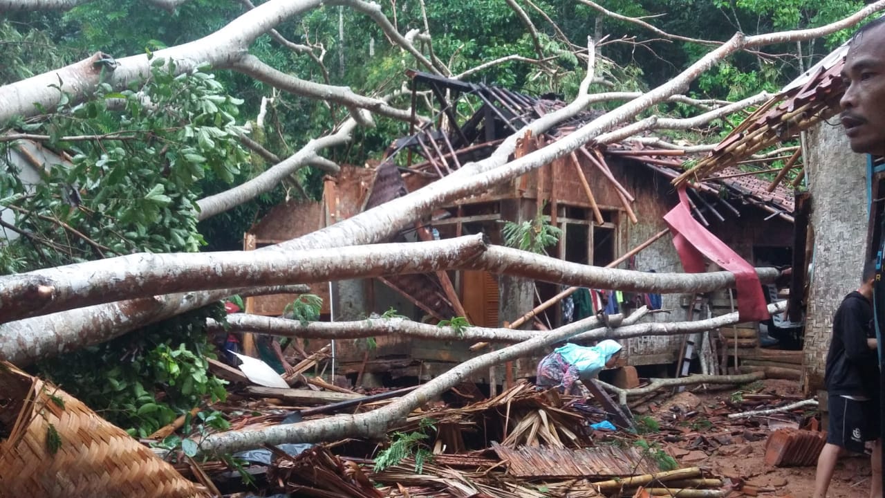 Hujan deras yang disertai angin kencang dan kilatan petir mengakibatkan puluhan pohon tumbang.