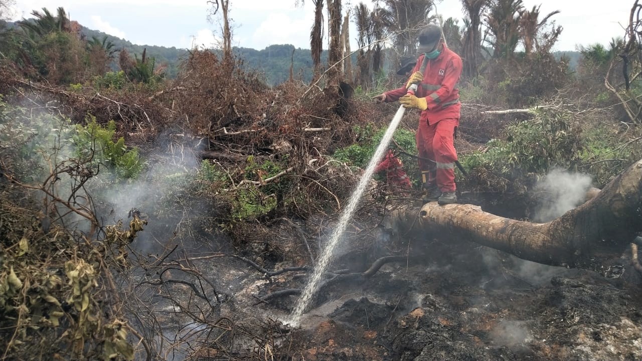 Personel Manggala Aqni melakukan pemadaman karhutla gambut di lahan masyarakat di Kecamatan Lalolae, Kolaka Timur, Sulawesi Tenggara