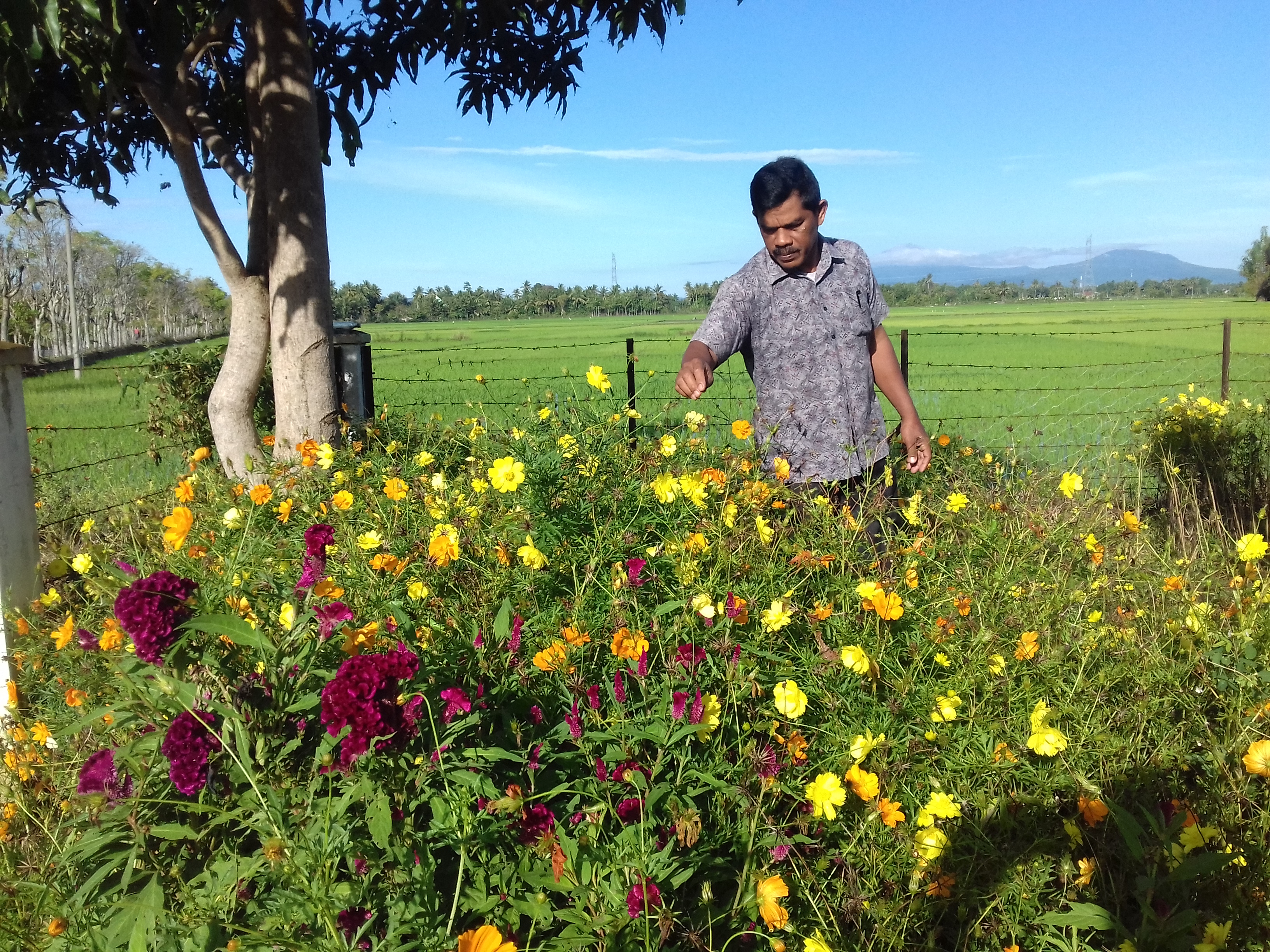 Taman refigia di Kabupaten Pidie
