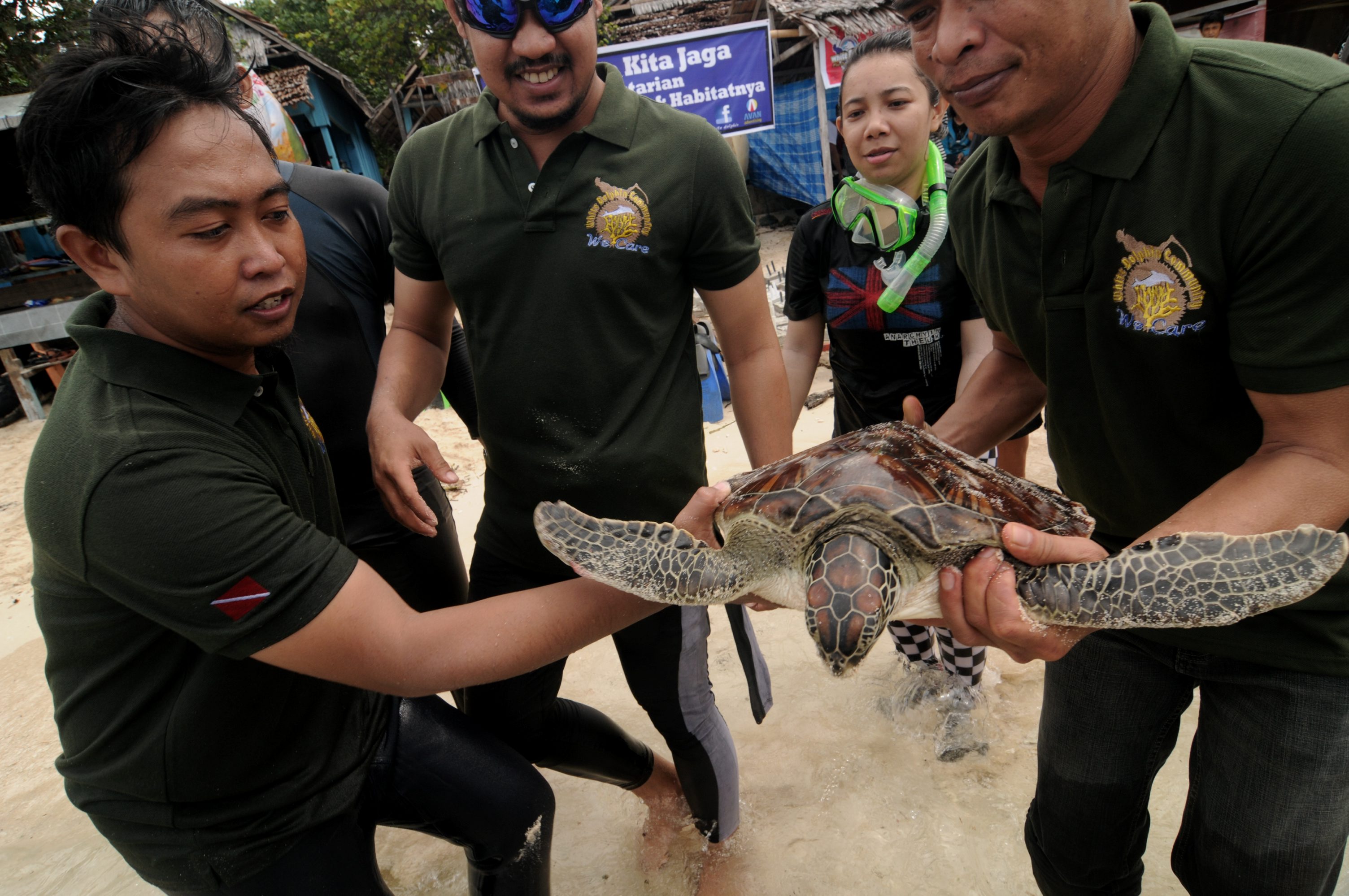 Pelepasliarkan penyu di Donggala, Sulteng, beberapa waktu lalu.