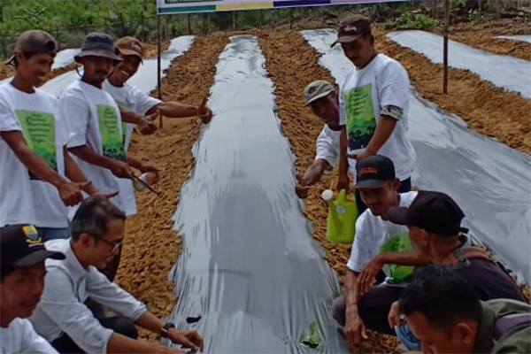 Petani Jambi Dapat Pelatihan Budi Daya Pertanian Terpadu