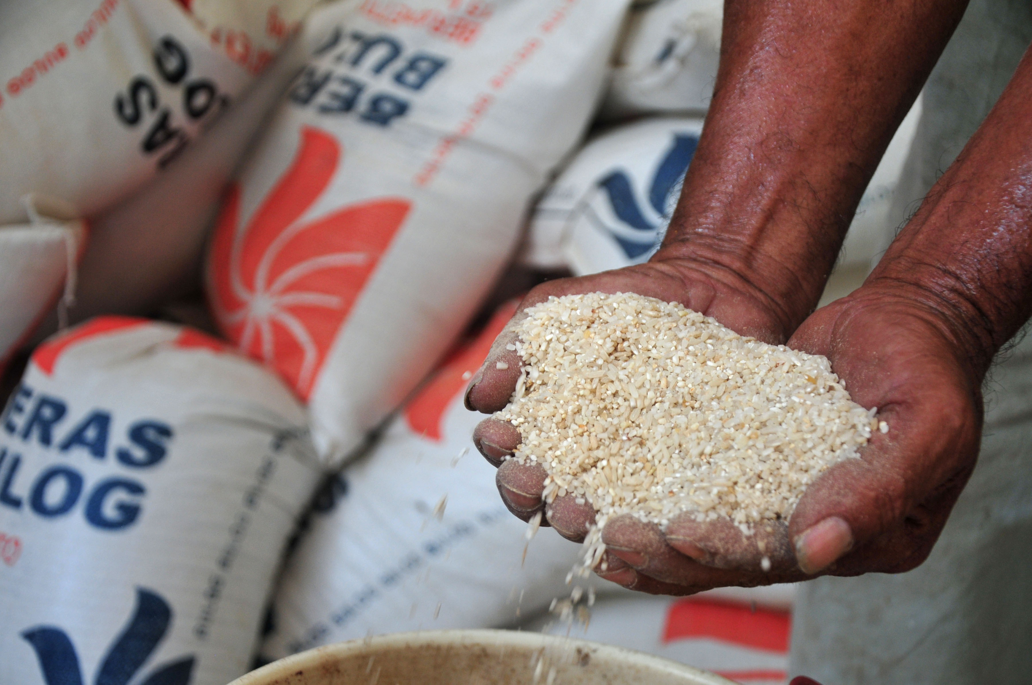 Bulog membuka lelang terbuka beras rusak. Ada lima perusahaan yang ikut dalam pelelangan tersebut.