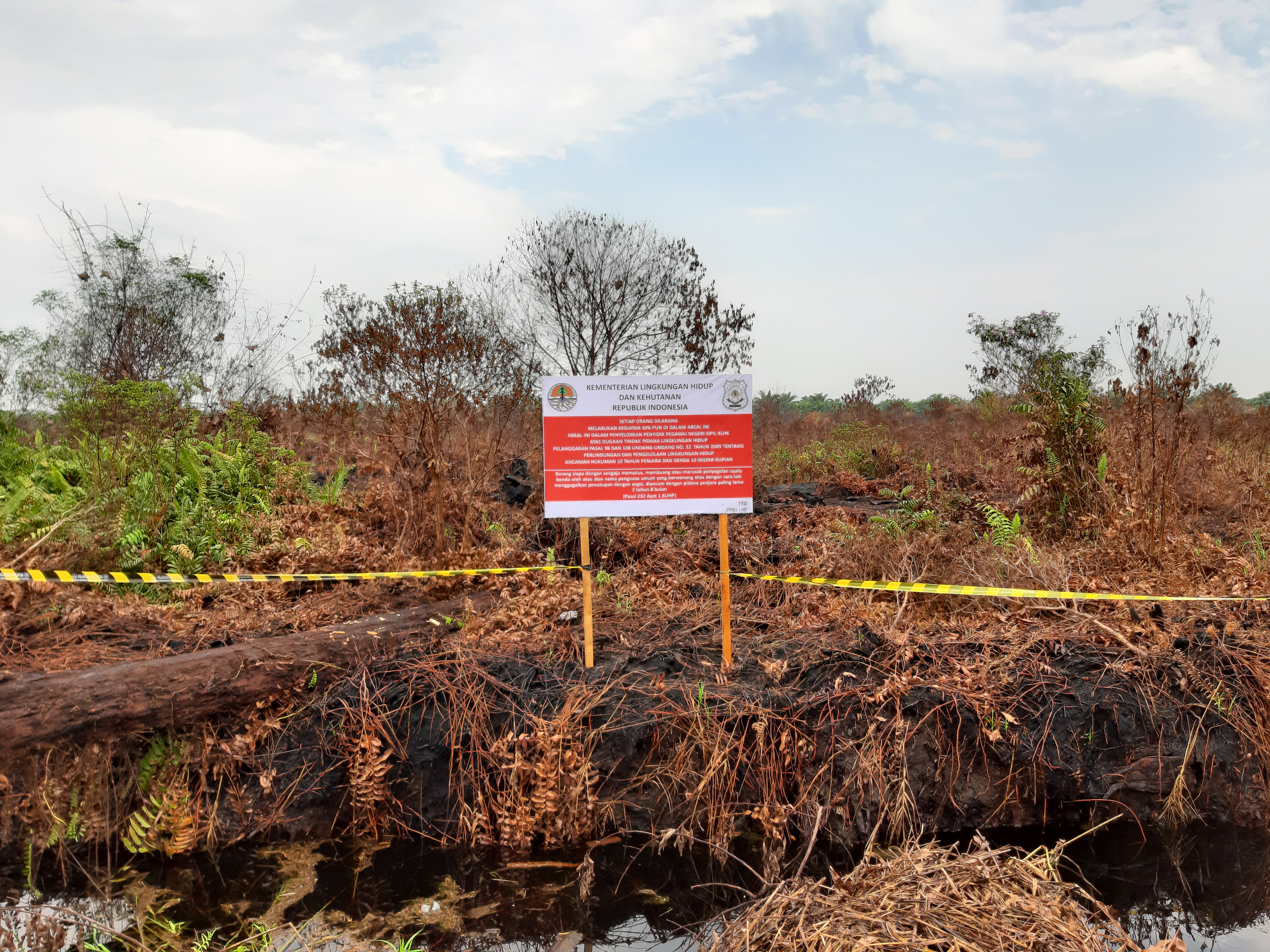 Soal Karhutla, PT Kaswari Unggul Didenda Rp25,5 M