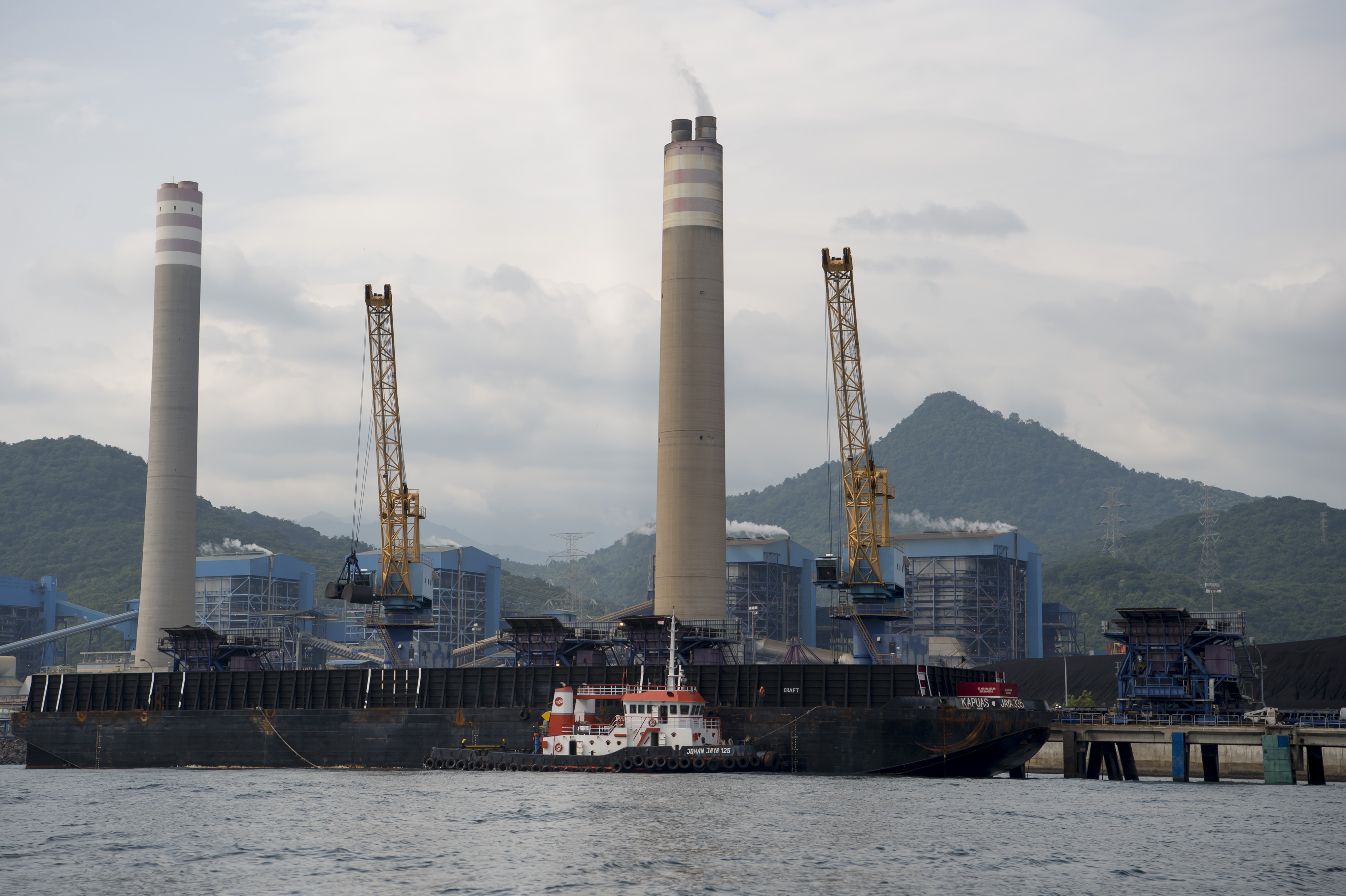 Aktivitas bongkar muat batu barau di PLTU Paiton