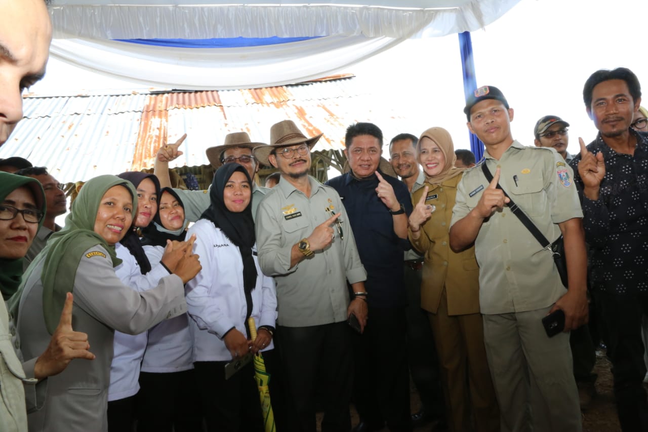  Jadikan Sumsel Lumbung Bibit Sapi Unggul