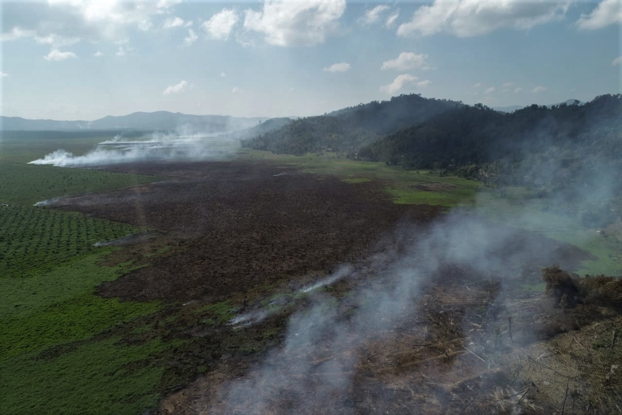 Lahan Terbakar Tanggung Jawab Pemegang Konsesi