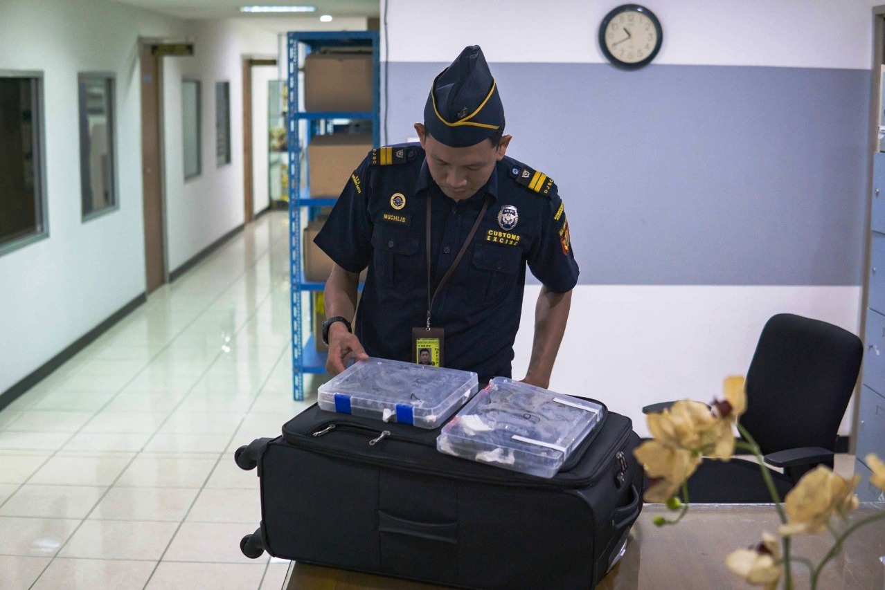 Bea Cukai Soekarno Hatta Gagalkan Penyelundupan 16 Ekor Kadal