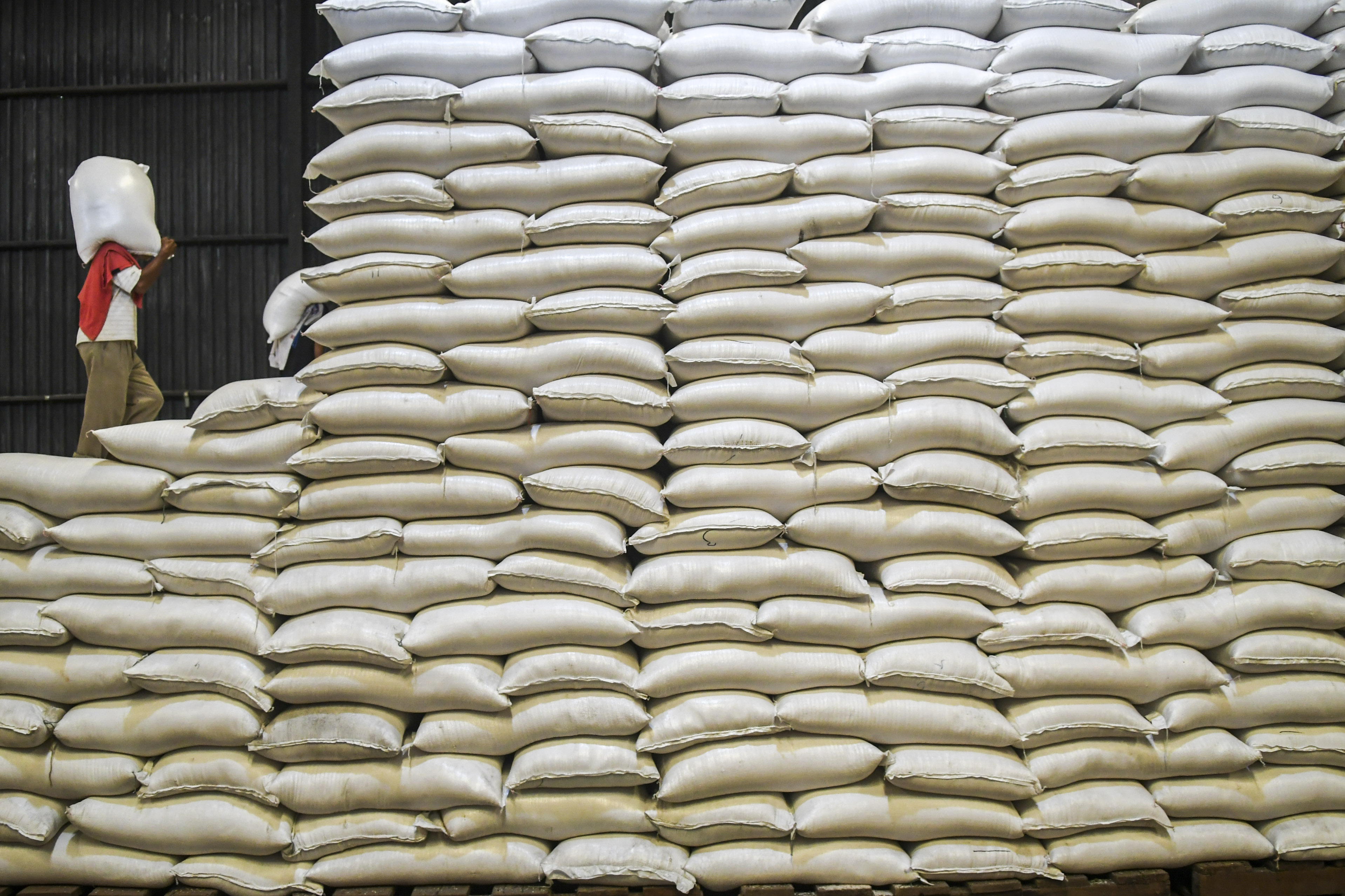 Pekerja mengangkut karung berisi beras di Gudang Perum Bulog Divre DKI Jakarta dan Banten, Kelapa Gading, Jakarta, Kamis (5/12/2019)