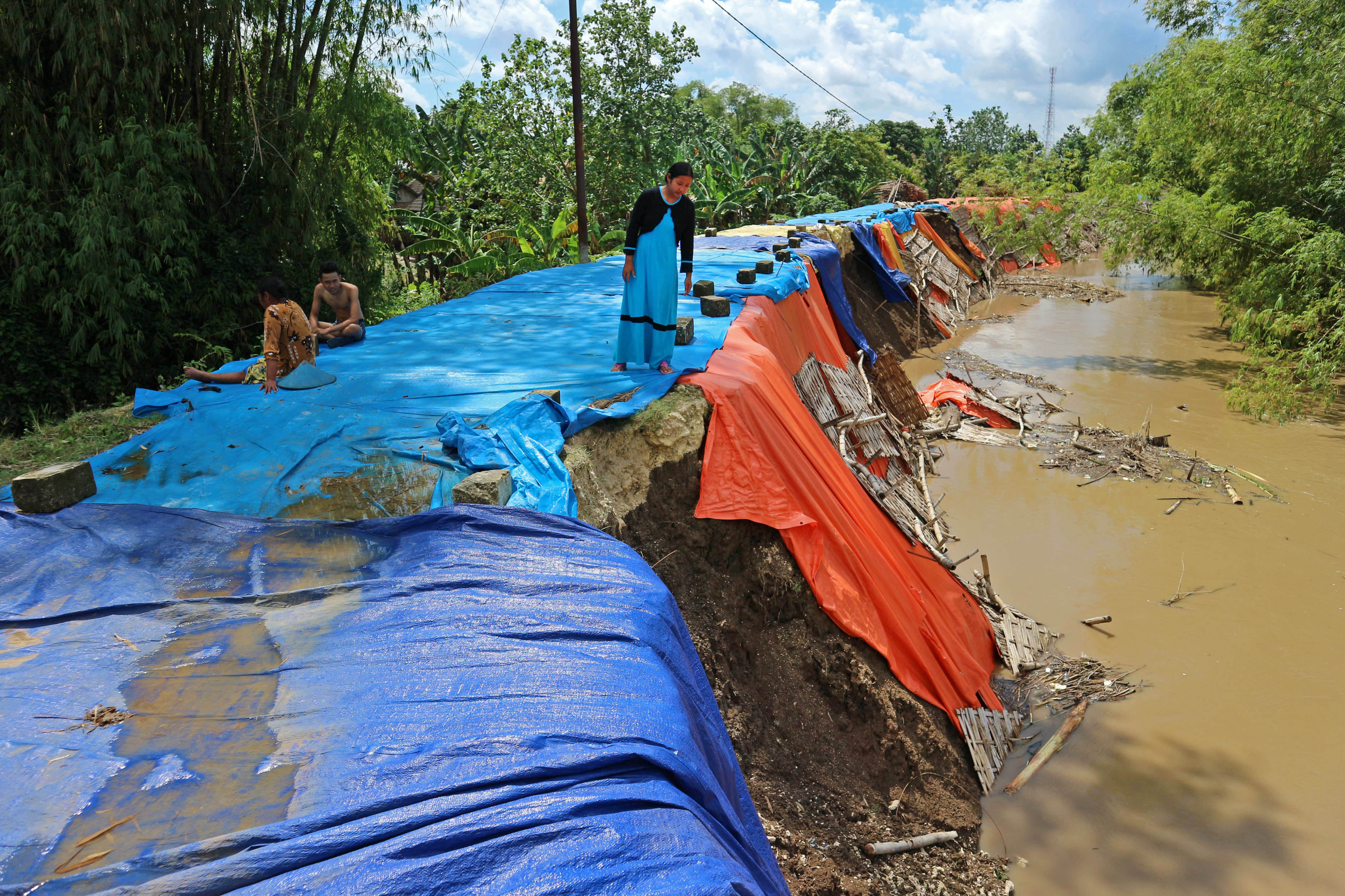 Tanggul Bengawan Solo rawan jebol dan kondisinya sangat kritis. 