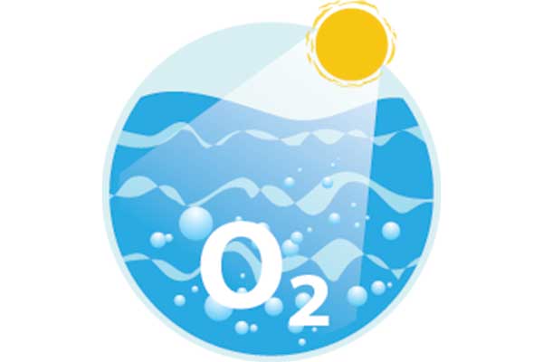 Oksigen di Laut Menurun akibat Kenaikan Suhu