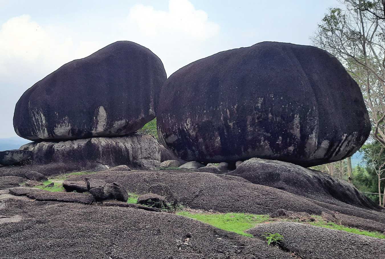 Curi Pandang Tarsius Bukit Peramun
