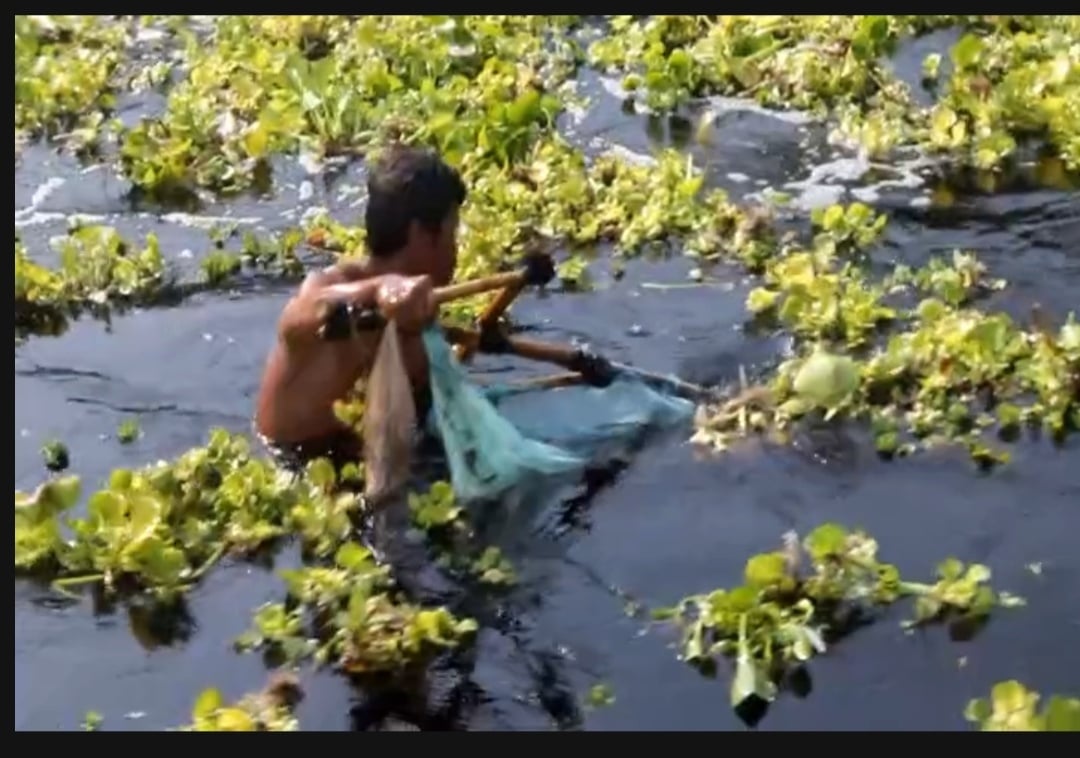 Pencemar Bengawan Solo