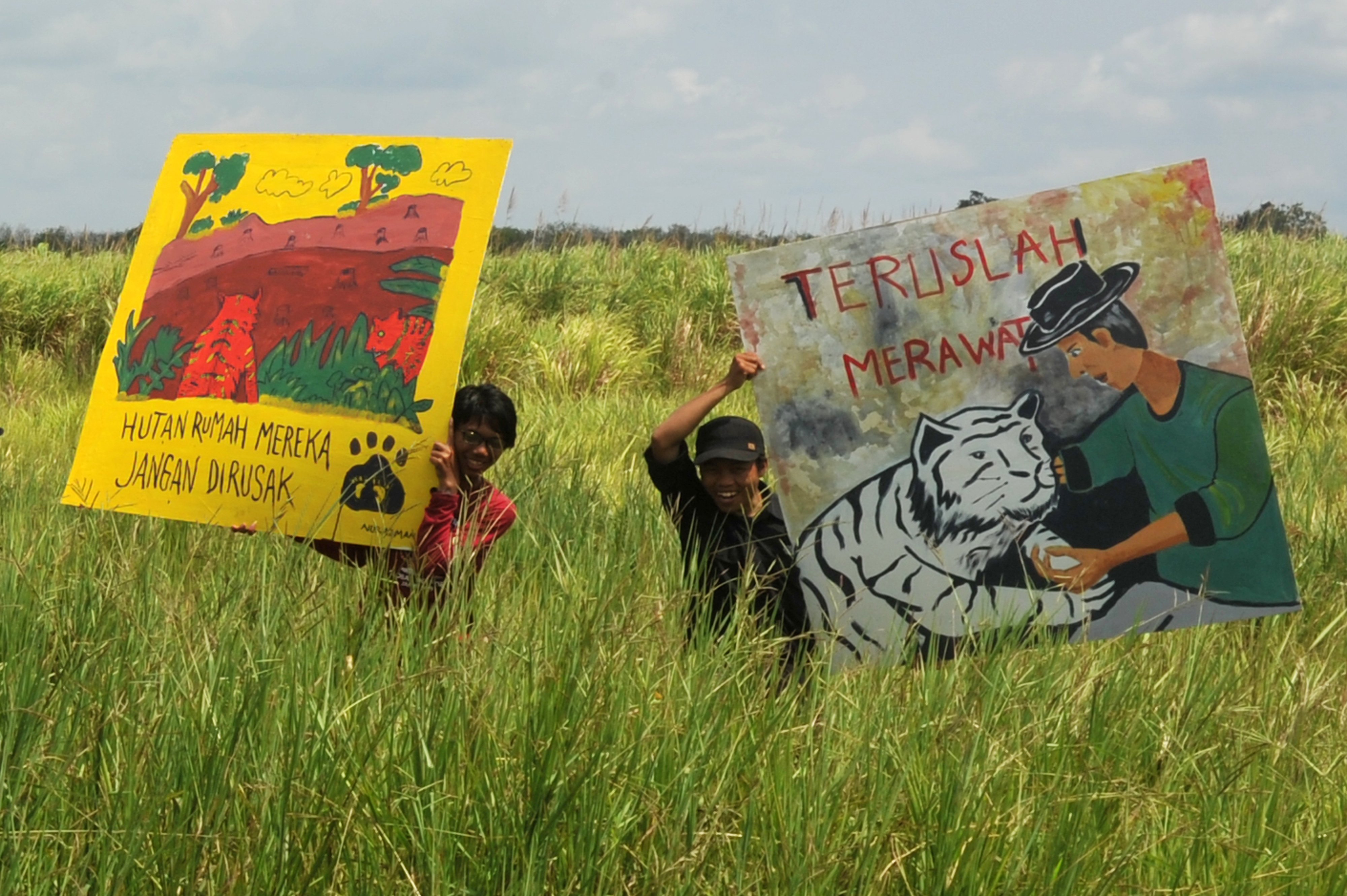 Komunitas Relawan Tiger Heart Jambi dan seniman mural melakukan aksi saat kampanye penyelamatan Harimau Sumatra