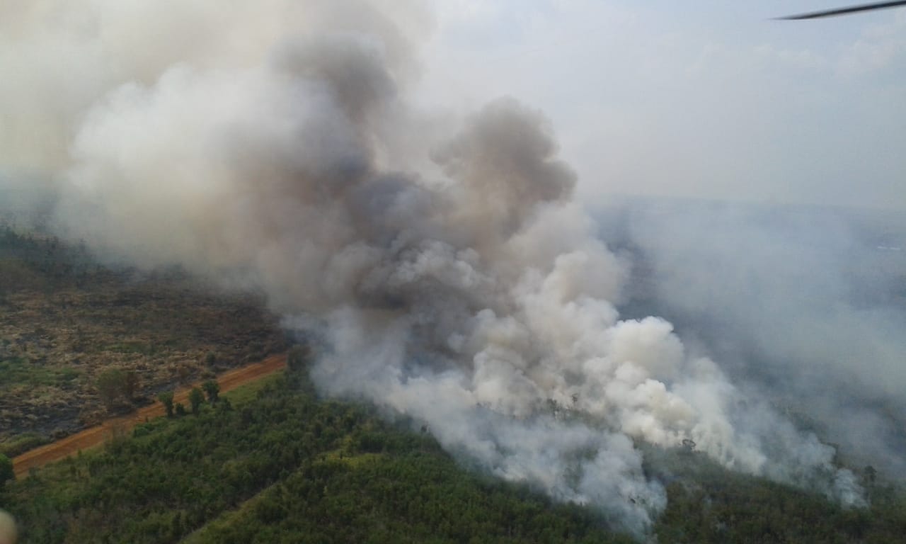 Kawasan Bandara Diusulkan Jadi Prioritas Penanganan Karhutla
