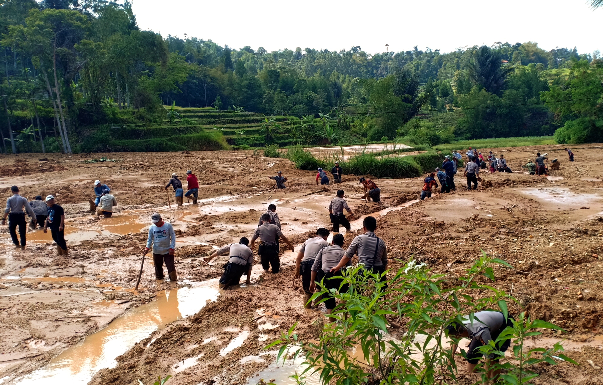 Ratusan polisi kerja bakti membuka saluran irigasi sawah yang telah empat hari tertimbun longsor di Kampung Hegarmanah, Kabupaten Bandung. 