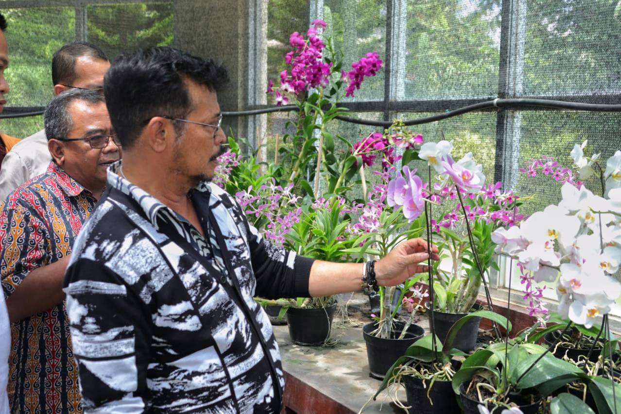 Mentan Syahrul Yasin Limpo.