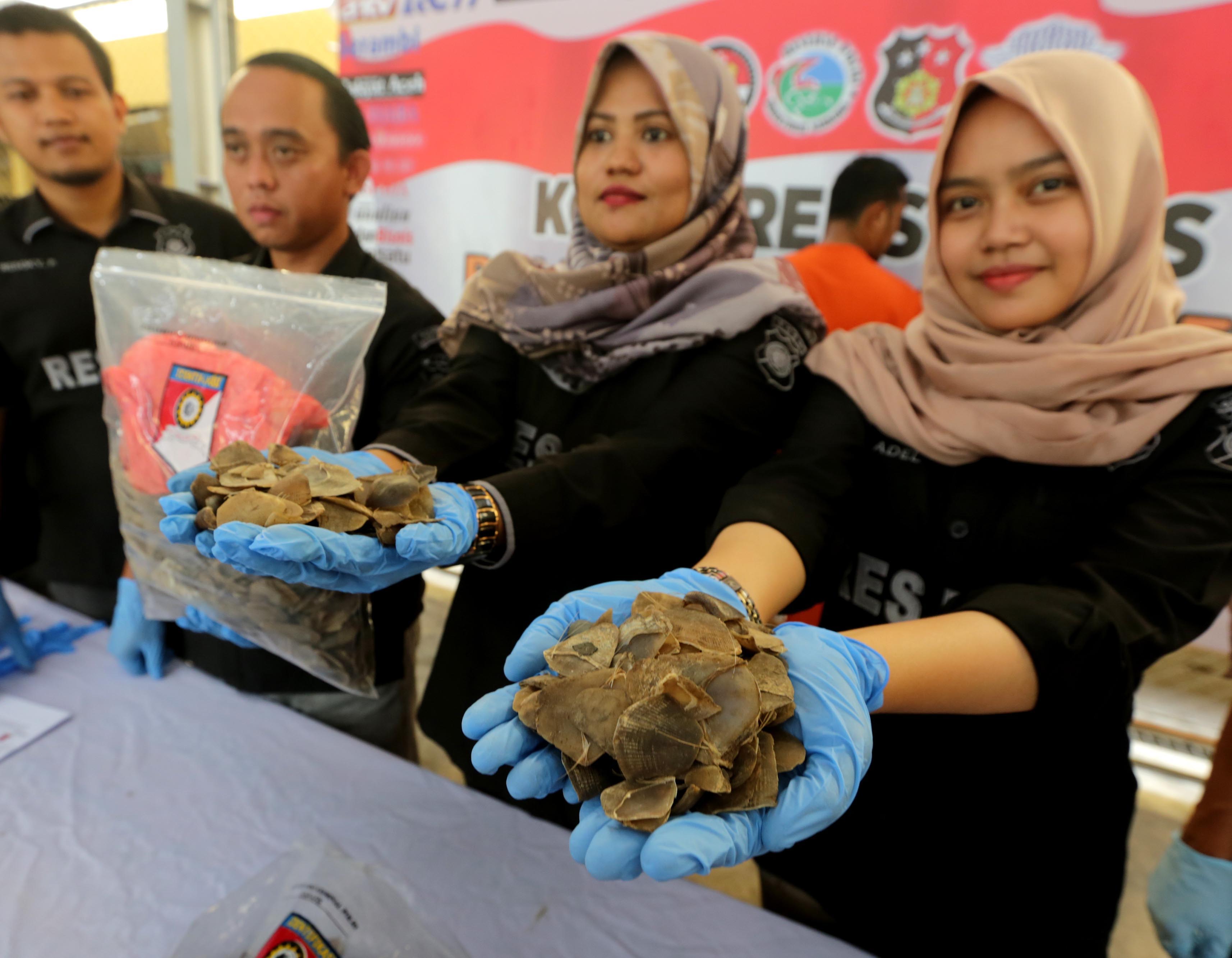 KLHK Gagalkan Perdagangan Satwa Liar Senilai Rp2 Miliar