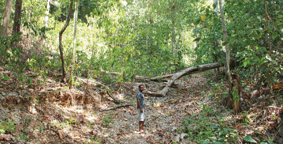 Pemantauan Burung: Yopi Dimara, warga Kampung Saporkren, Raja Ampat, Papua Barat menyediakan jasa pemandu untuk wisata pemantauan burung.