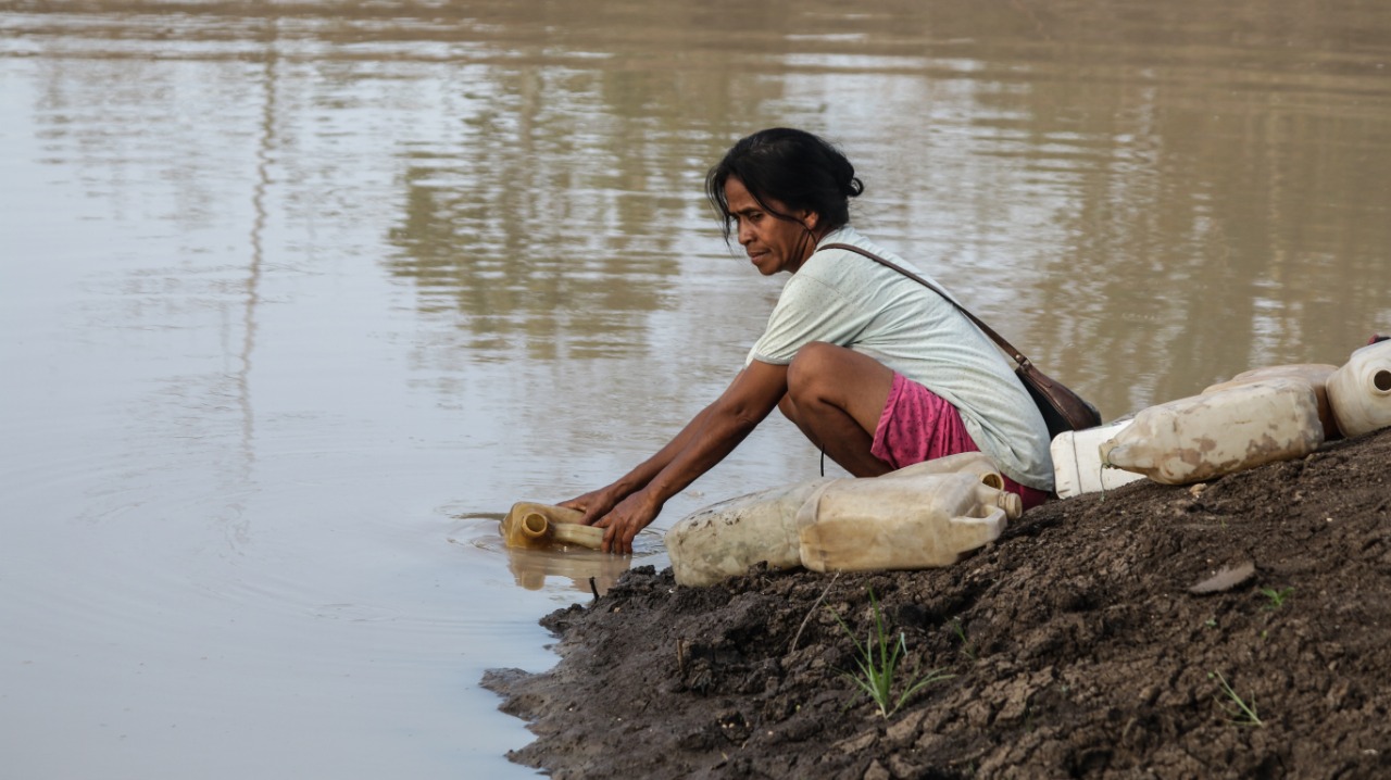 Warga  Desa Renduwawo, Kecamatan Aesesa Selatan bertahan hidup dengan air embung yang kotor.