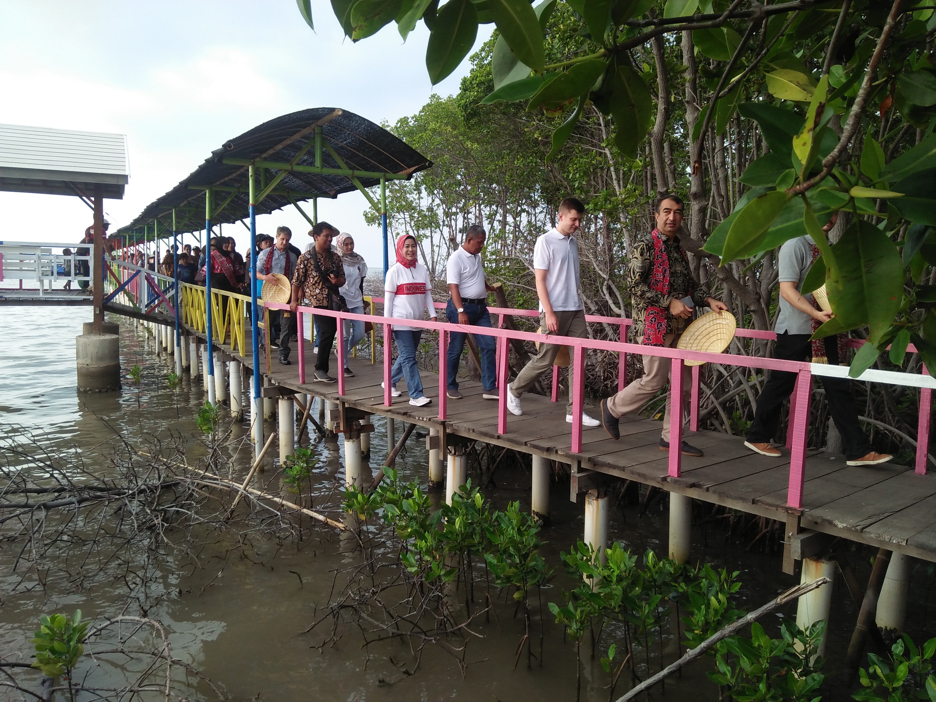 Para Duta Besar dan Perwakilan Negara Sahabat berkunjung ke Hutan Mangrove Sari Brebes