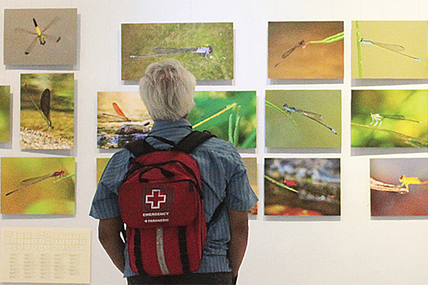 Penerbang yang Mendeteksi Lingkungan