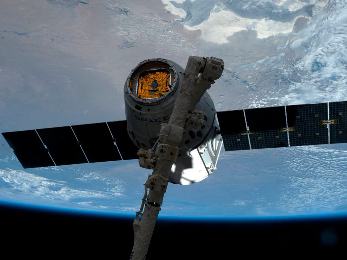 NASA mengirim tikus super untuk misi luang angkasa. 